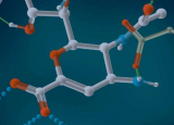 科学家区分出能够对抗前列腺癌的分子