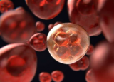 细胞静态持续癌细胞：治疗机遇和挑战