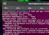 如何在 Ubuntu 上安装 MongoDB