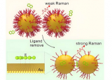 科学家揭开芳香分子与金相互作用的秘密