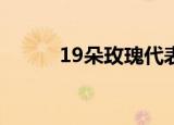 19朵玫瑰代表什么意思知识介绍