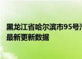 黑龙江省哈尔滨市95号汽油价格查询（2024年05月29日） 最新更新数据