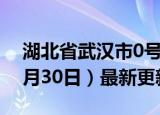 湖北省武汉市0号柴油价格查询（2024年05月30日）最新更新数据