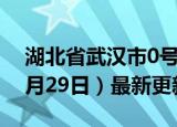 湖北省武汉市0号柴油价格查询（2024年05月29日）最新更新数据