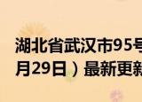 湖北省武汉市95号汽油价格查询（2024年05月29日）最新更新数据