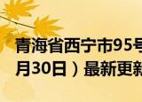 青海省西宁市95号汽油价格查询（2024年05月30日）最新更新数据