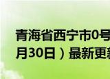 青海省西宁市0号柴油价格查询（2024年05月30日）最新更新数据