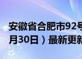 安徽省合肥市92号汽油价格查询（2024年05月30日）最新更新数据