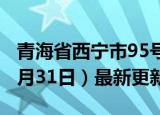 青海省西宁市95号汽油价格查询（2024年05月31日）最新更新数据