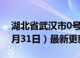 湖北省武汉市0号柴油价格查询（2024年05月31日）最新更新数据