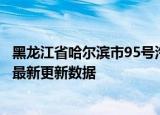 黑龙江省哈尔滨市95号汽油价格查询（2024年05月31日） 最新更新数据