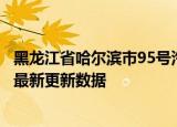 黑龙江省哈尔滨市95号汽油价格查询（2024年06月06日） 最新更新数据