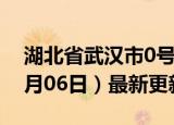 湖北省武汉市0号柴油价格查询（2024年06月06日）最新更新数据