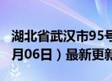 湖北省武汉市95号汽油价格查询（2024年06月06日）最新更新数据