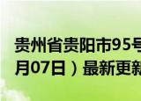 贵州省贵阳市95号汽油价格查询（2024年06月07日）最新更新数据