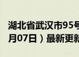 湖北省武汉市95号汽油价格查询（2024年06月07日）最新更新数据