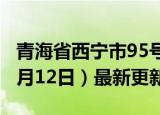 青海省西宁市95号汽油价格查询（2024年06月12日）最新更新数据