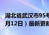 湖北省武汉市95号汽油价格查询（2024年06月12日）最新更新数据