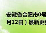 安徽省合肥市0号柴油价格查询（2024年06月12日）最新更新数据