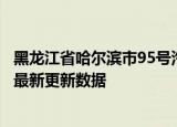 黑龙江省哈尔滨市95号汽油价格查询（2024年06月12日） 最新更新数据