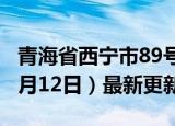 青海省西宁市89号汽油价格查询（2024年06月12日）最新更新数据