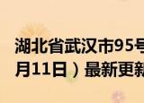 湖北省武汉市95号汽油价格查询（2024年06月11日）最新更新数据