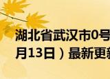 湖北省武汉市0号柴油价格查询（2024年06月13日）最新更新数据