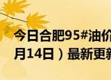 今日合肥95#油价调整最新消息（2024年06月14日）最新更新数据