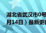 湖北省武汉市0号柴油价格查询（2024年06月14日）最新更新数据