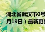 湖北省武汉市0号柴油价格查询（2024年06月19日）最新更新数据