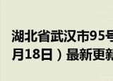 湖北省武汉市95号汽油价格查询（2024年06月18日）最新更新数据