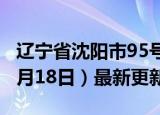 辽宁省沈阳市95号汽油价格查询（2024年06月18日）最新更新数据