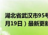 湖北省武汉市95号汽油价格查询（2024年06月19日）最新更新数据