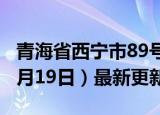 青海省西宁市89号汽油价格查询（2024年06月19日）最新更新数据