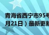 青海省西宁市95号汽油价格查询（2024年06月21日）最新更新数据