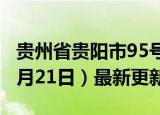 贵州省贵阳市95号汽油价格查询（2024年06月21日）最新更新数据