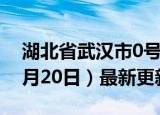 湖北省武汉市0号柴油价格查询（2024年06月20日）最新更新数据