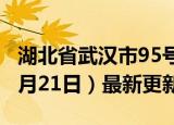 湖北省武汉市95号汽油价格查询（2024年06月21日）最新更新数据