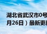 湖北省武汉市0号柴油价格查询（2024年06月26日）最新更新数据