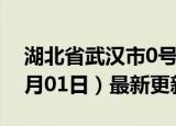 湖北省武汉市0号柴油价格查询（2024年07月01日）最新更新数据