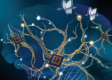 一种新的受大脑启发的人工树突状神经回路