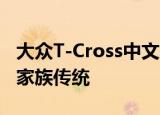 大众T-Cross中文名字确定C;途铠D;延续中文家族传统