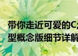 带你走近可爱的C;北极狐DARCFOX-1量产车型概念版细节详解