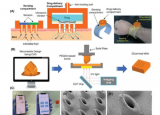 尖端 3D 打印微针技术彻底改变了远程医疗