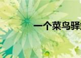 一个菜鸟驿站一年能收入多少