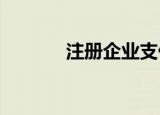 注册企业支付宝需要哪些材料