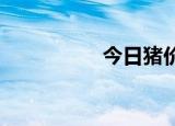 今日猪价格多少钱一斤