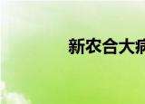 新农合大病二次报销怎么报