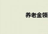 养老金领取标准是怎样的