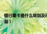 银行黑卡是什么级别及待遇（民生银行百夫长黑金卡部分权益）